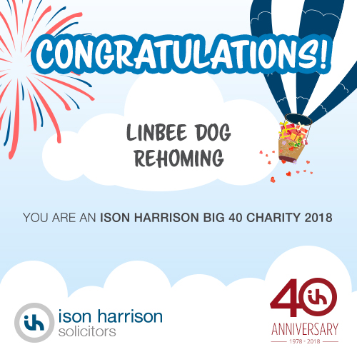 Linbee-Dog-Rehoming